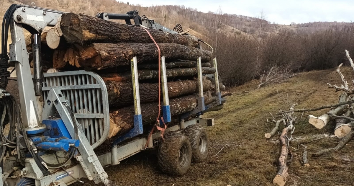 Fatolvajokat értek tetten a hétvégén